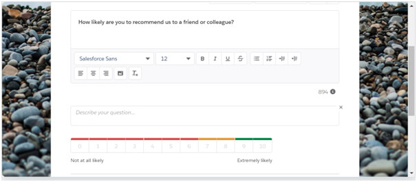 Set page name to NPS