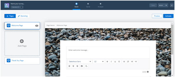 opens the Surveys tab