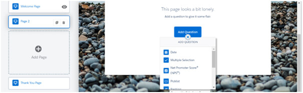 Set page name to NPS