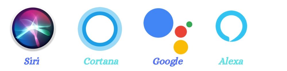 Popular voice search devices