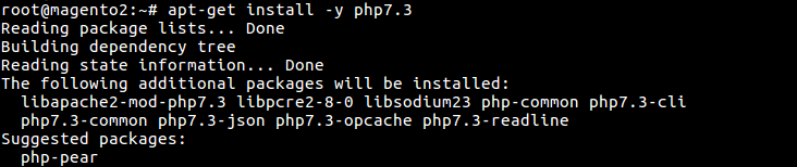 21 apt-get install -y php7.3