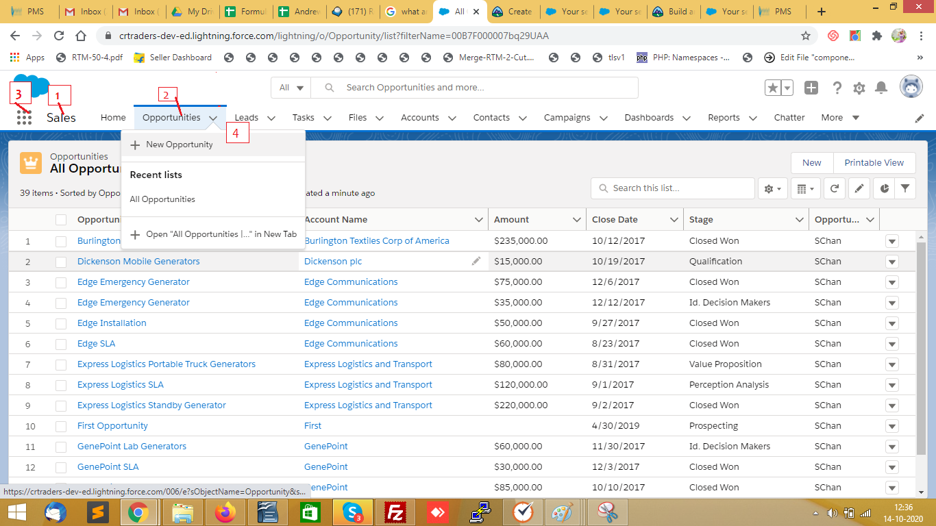 Salesforce Lightning App
