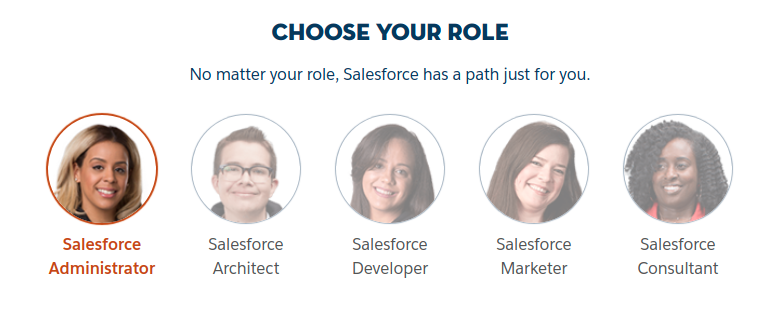 salesforce certification roles