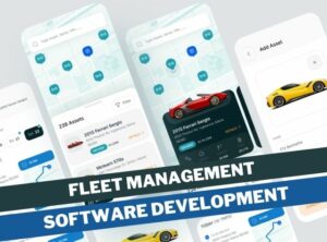 fleet management software development