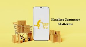Headless Commerce Platforms
