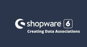 How to create data associations(One to One) in Shopware 6