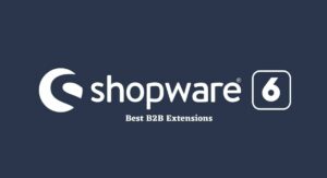 B2B Extensions for Your Shopware Store