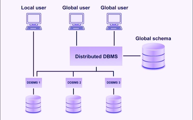 Distributed Database