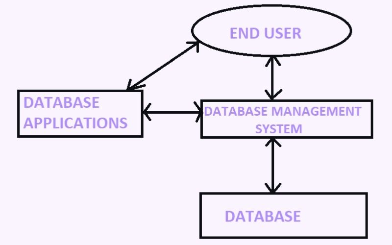 End-User Database