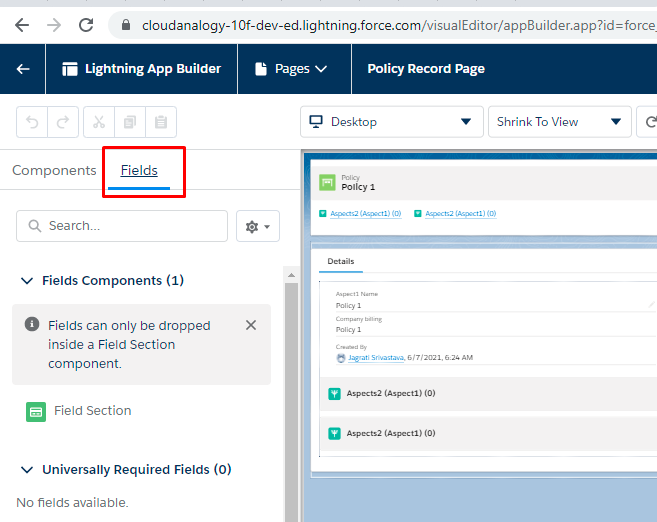 Custom Object Policy Record Page