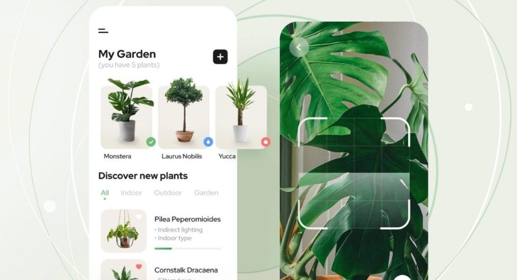 Plant Identification App