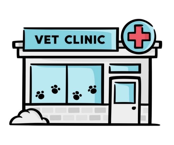 vet app