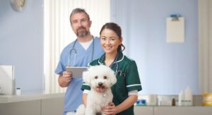 Vet On Demand App