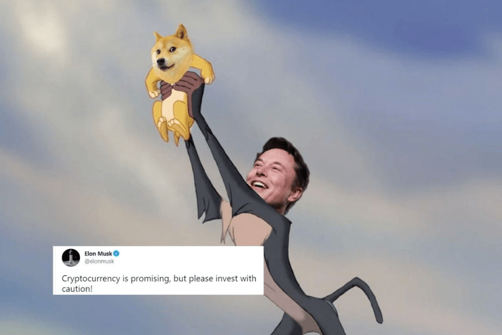 Doge elon musk meme nft (1)