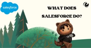 What Does Salesforce Do?