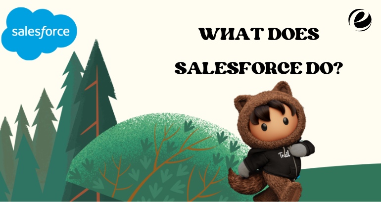 What Does Salesforce Do?