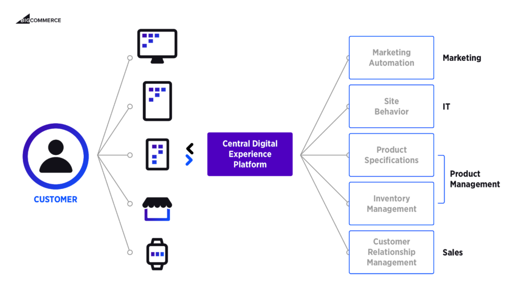 Digital Experience Platform (DXP).