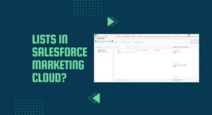 Lists in Salesforce Marketing Cloud