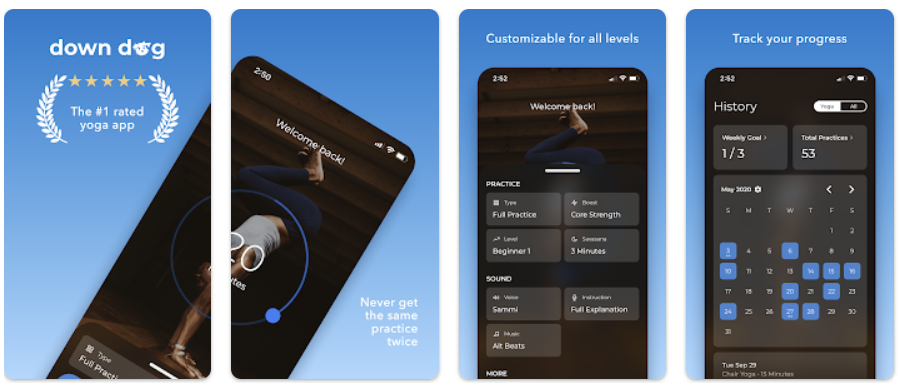 down dog workout app