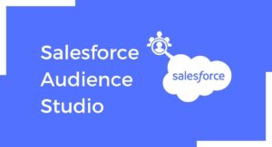 Salesforce Audience Studio
