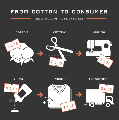 everlane infographic