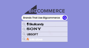 Brands That use Bigcommerce