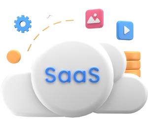 Software-as-a-Service (SaaS)