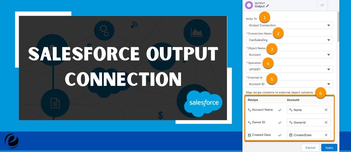 Salesforce Output Connection