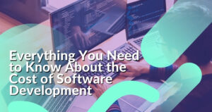Cost of Software Development