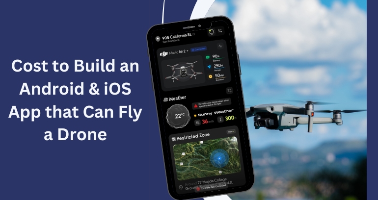 Cost to Build an drone controller App