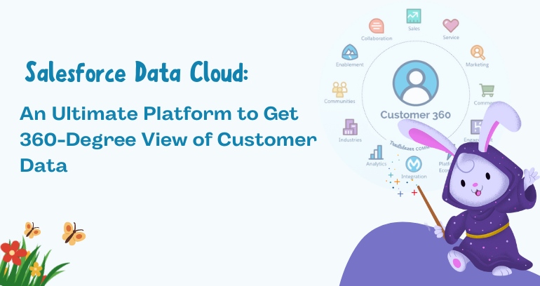 Salesforce Data Cloud