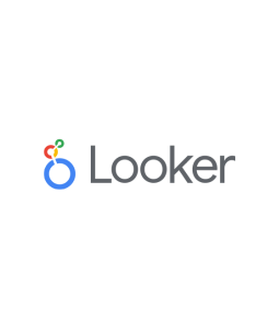 Looker Studio Logo