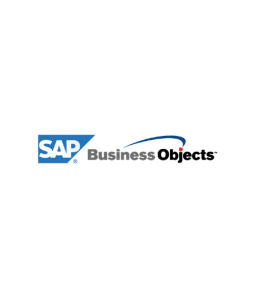 SAP Business Object Loog