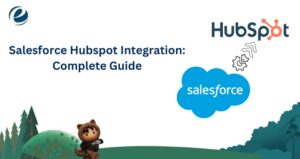 Salesforce Hubspot Integration