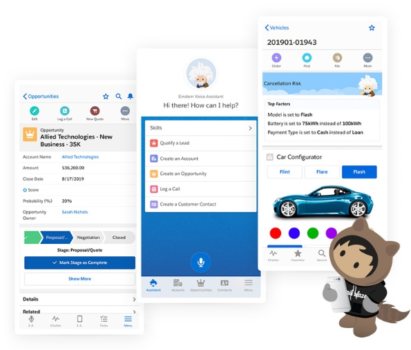 Salesforce Mobile App