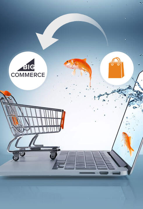 Bigcommerce Migration