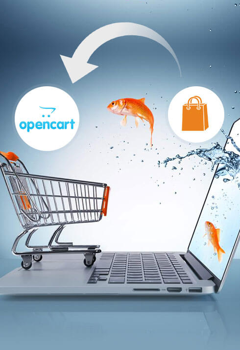 Opencart Migration